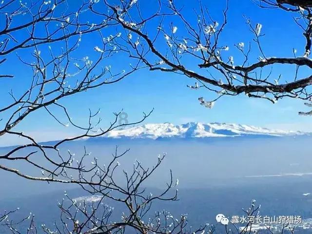 逗小猴开心系列176