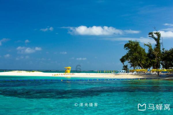 拯救蝙蝠家族